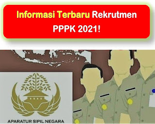 Honorer Non K Harus Tahu | Informasi Terbaru Rekrutmen PPPK 2021!