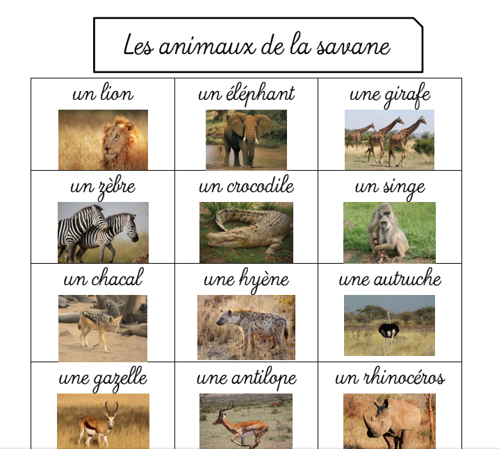 Delfynus Une Maitresse Qui Vous Veut Du Bien Les Animaux