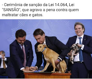 Presidente Bolsonaro sanciona a lei de proteção aos animais