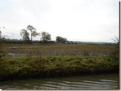 SAM_0754