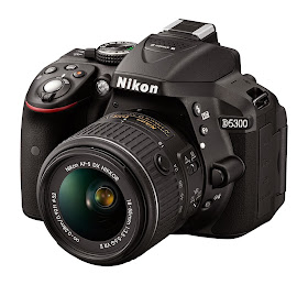 DI multi Nikon D5300