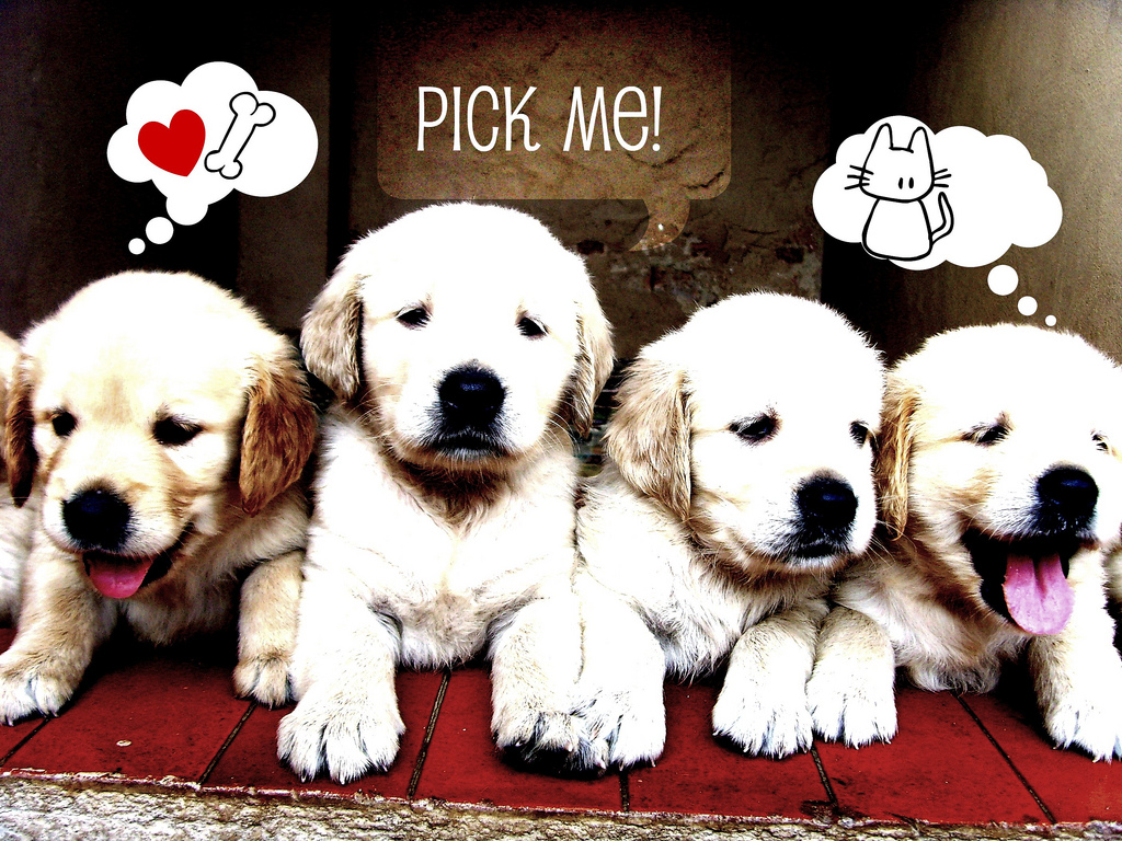 Top Gambar Anjing Kartun Keren