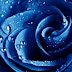 Rosas Azules,que expresan? 