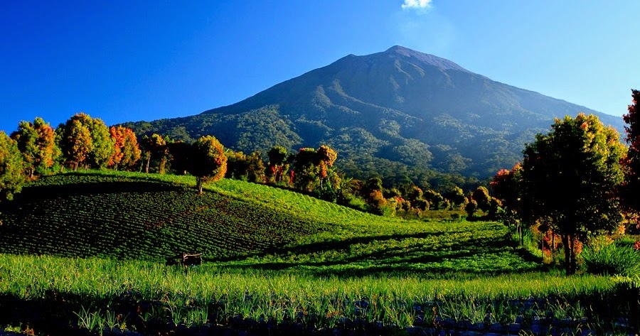 Hotel Jakarta Indonesia Tips Sebelum Mendaki Gunung  Kerinci 