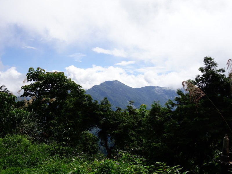 2013_0623 鱈葉根山連走真笠山_011