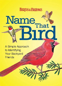 Name That Bird: A Simple Approach to Identifying Your Backyard Friends