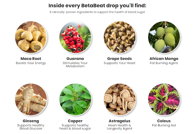 betabeat-ingredients