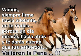 Vamos,  siempre firme hacia adelante, no te rindas ... porque un día mirarás hacia atrás y te darás cuenta que tus esfuerzos... VALIERON LA PENA...!!!