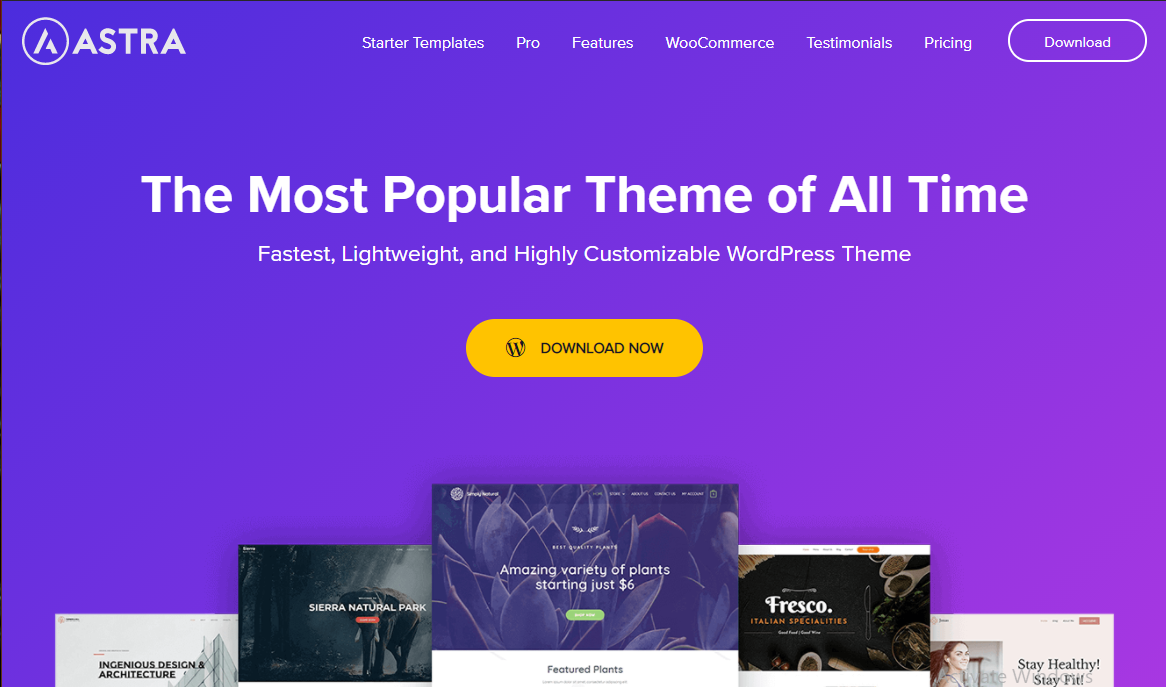 Astra - Most Popular WordPress Themes