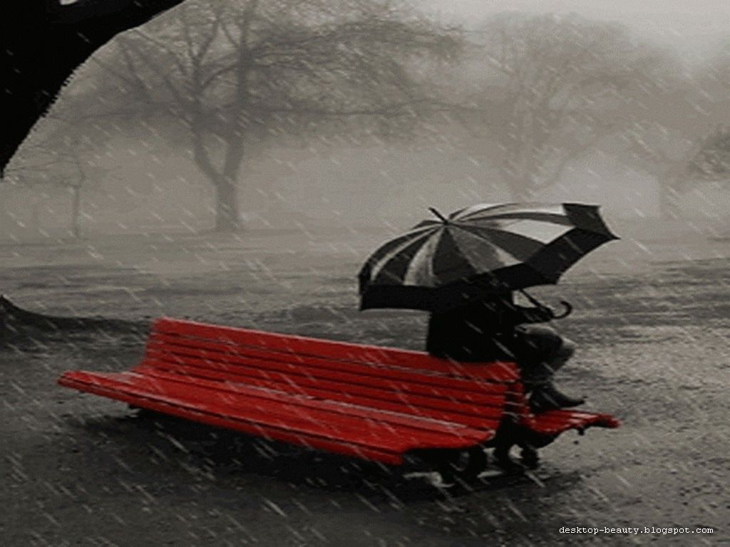 Free Beautiful Rain Wallpapers For Desktop Background,Image,Picture