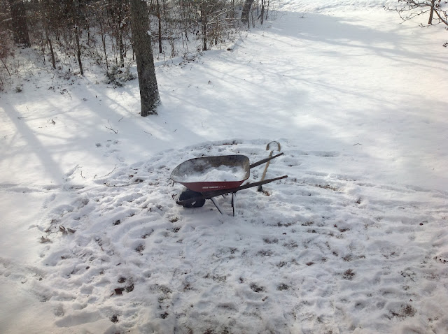 snow, wheelbarrow, Peach County, Georgia