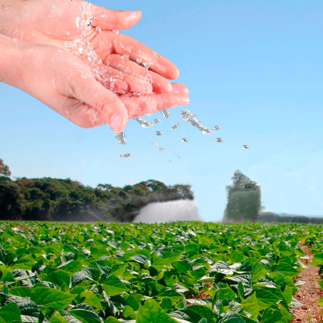 DNOCS: Plano de inclusão das águas residuárias como fonte hídrica alternativa para irrigação