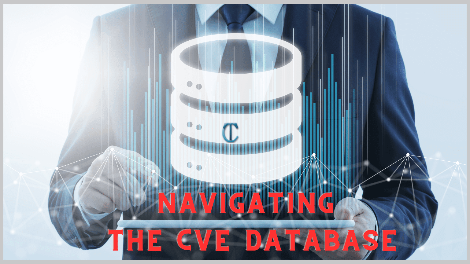 Navigating the CVE Database
