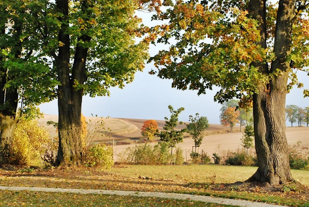 Kamieniec, ogrody pałacowe