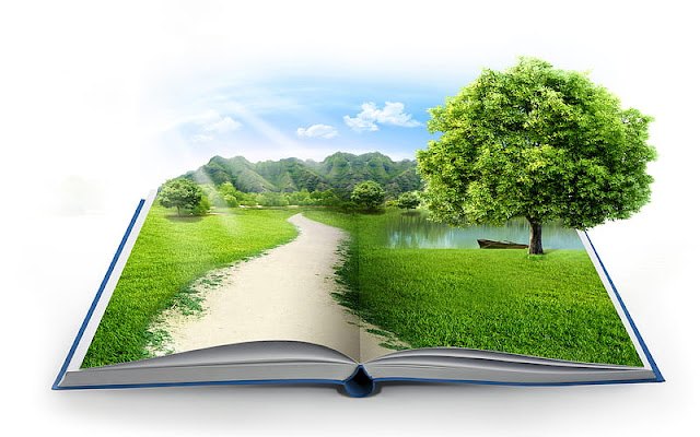 Top Ten Books on Environmental Sustainability