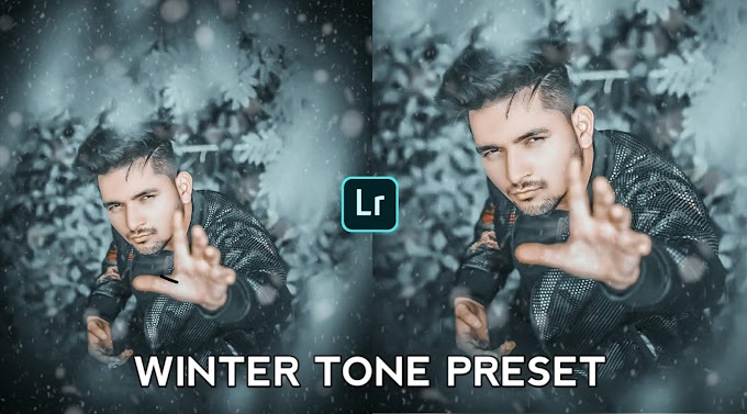 Winter Tone Preset Free Download For Lightroom Mobile