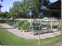 veggie garden