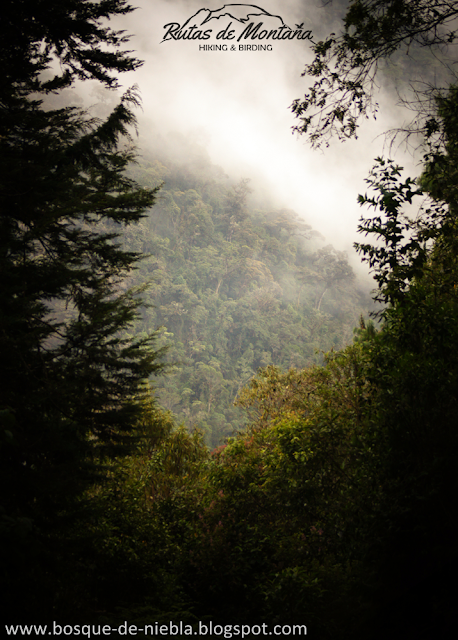 Paramillo del Quindio