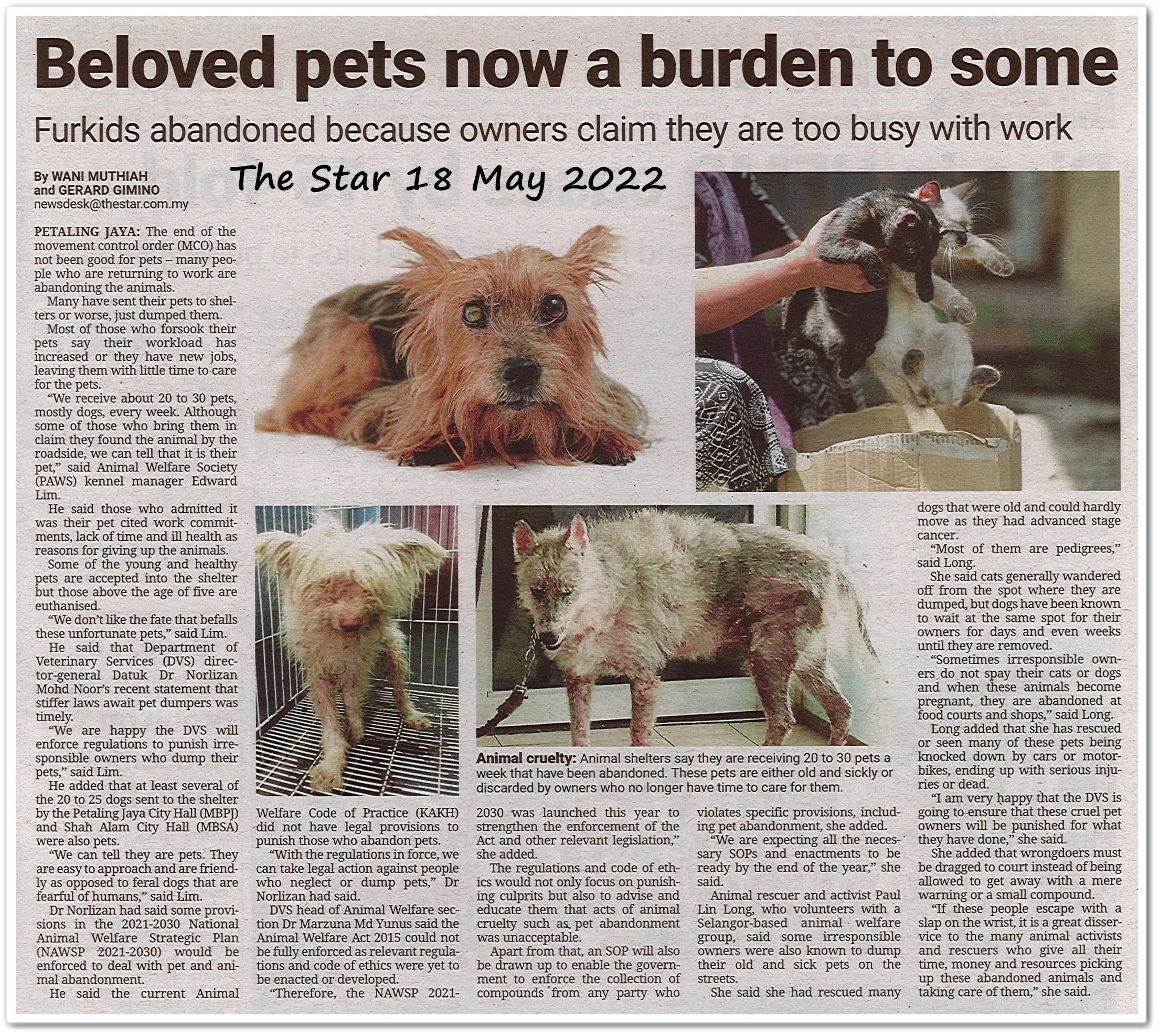 Beloved pets now a burden to some ; Furkids abandoned because owners claim they are too busy with work - Keratan akhbar The Star 18 May 2022