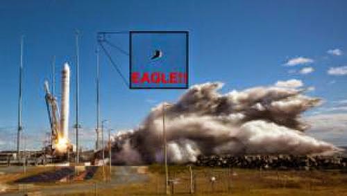 Bald Eagle Soars Near Nasaorbital Sciences Cygnus Launch