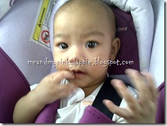 IMG-20111115-00344