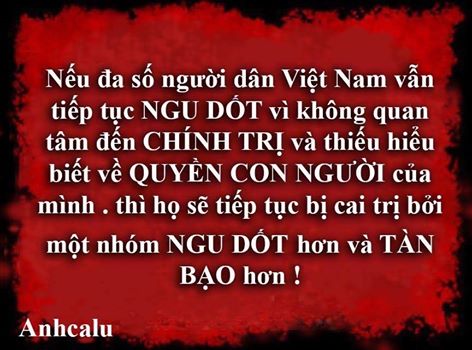 Nếu Cứ Ngu Dốt