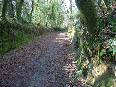 Camino de Sigüeiro