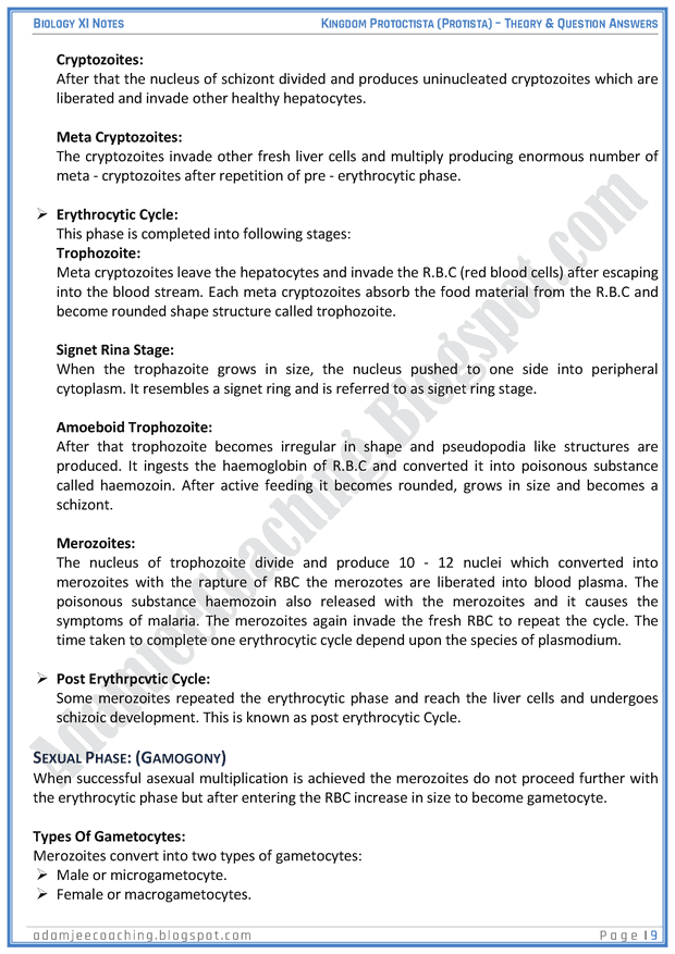 kingdom-protista-protoctista-descriptive-question-answers-biology-11th