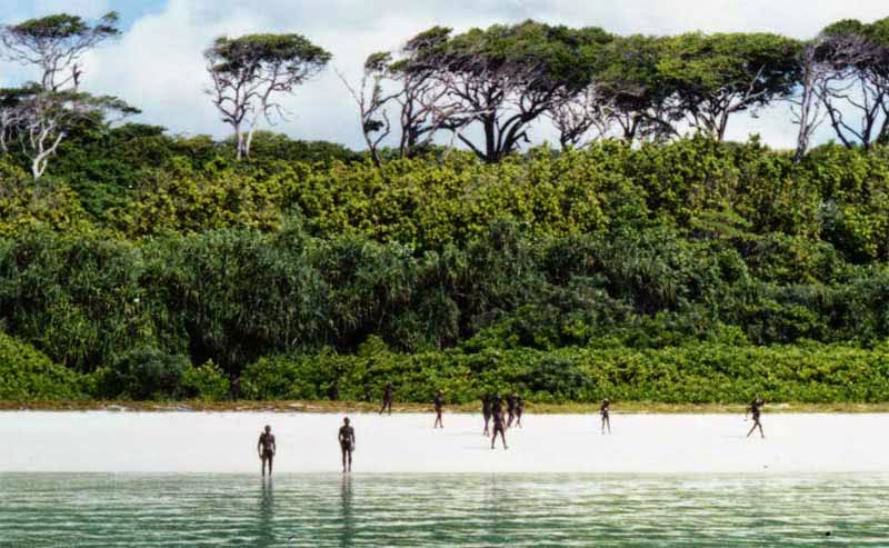 2. North Sentinel Island Forest, Bay of Bengal - 5 Fairytale Forests Straight Out of a Story Book