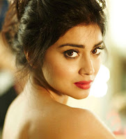 Sensual, Shriya, Stills