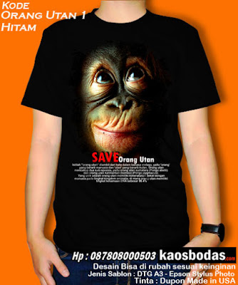 ORANG UTAN 01