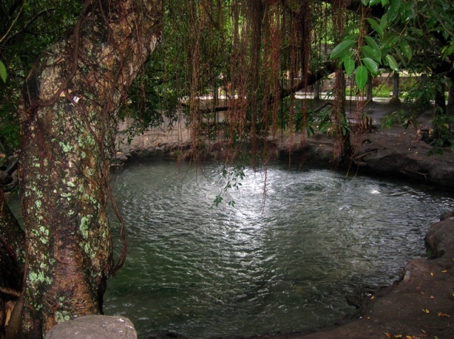 kolam mengeruda