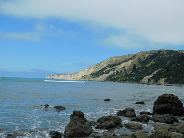 DSCN3379