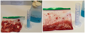 Strawberry DNA Extraction STEAM Program