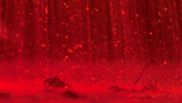 Infofacts Red Rain Infofacts Red Rain