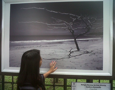 IMG01538-20110810-1728