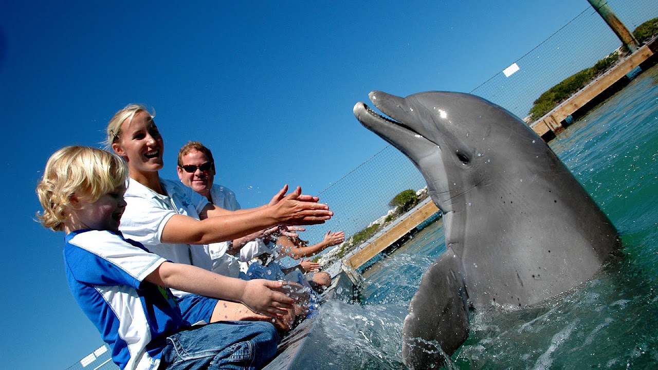 Florida Resorts For Families On Beach