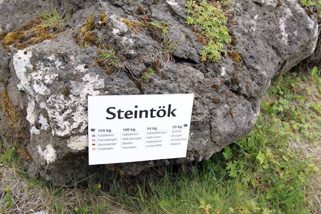 Steintok