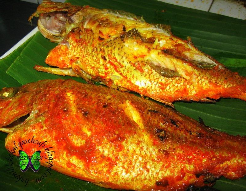 Kerulls: Ikan Tofu Bakar dan Singgang Terung ( Iftar 6 )