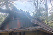 Pohon Tumbang Akibat Angin Kencang Timpa Rumah Warga di Kelurahan Lion Tondok Iring Tana Toraja