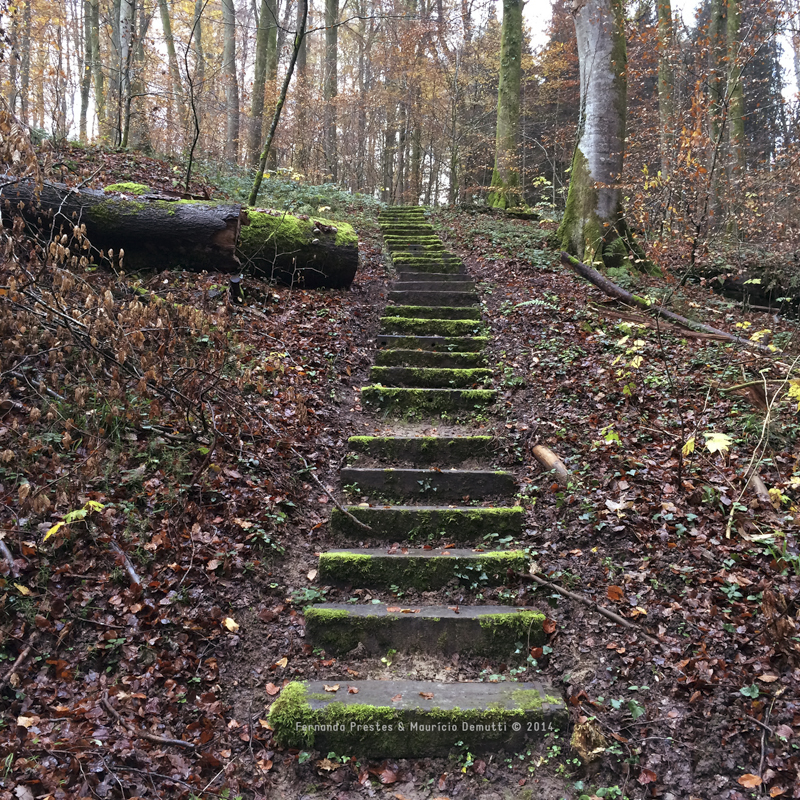 escada mullerthal trail Luxemburgo