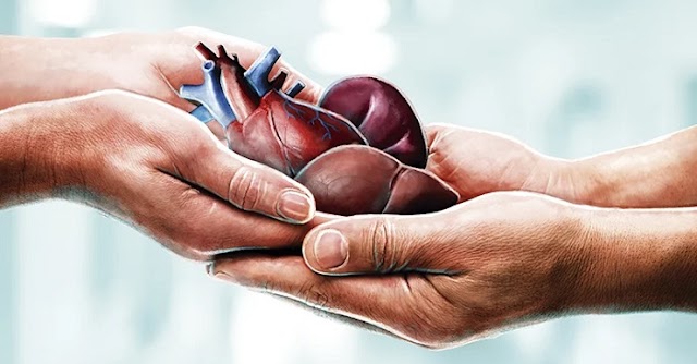 Salud recuerda la importancia de manifestar el deseo de donar órganos y tejidos para salvar vidas