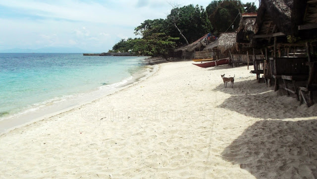 fine white sand and turquoise waters. Buenos Aires Beach right side view from Spice of Life Resort in Victoria, Northern Samar