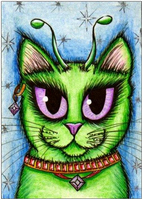 	HAED схемы вышивки художника Carrie Hawks	"	CH QS-243 Lil Green Alien Cat	