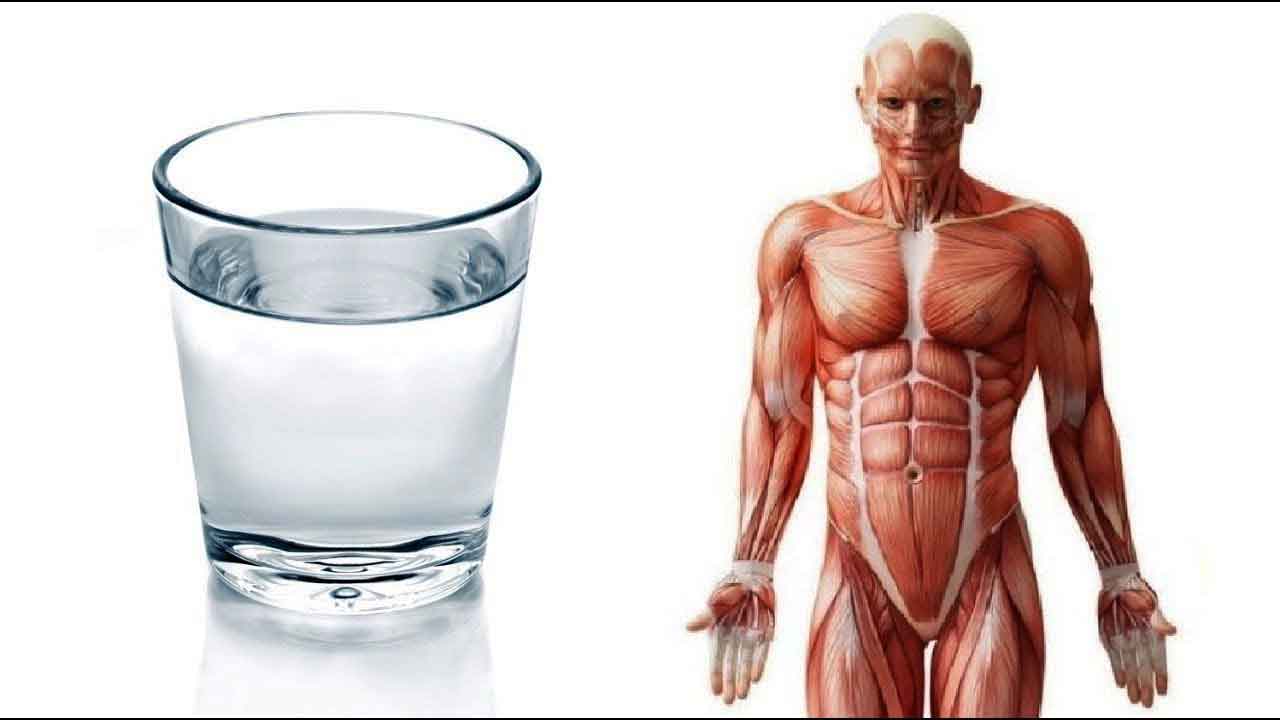 bienfaits de boire de l'eau à jeun