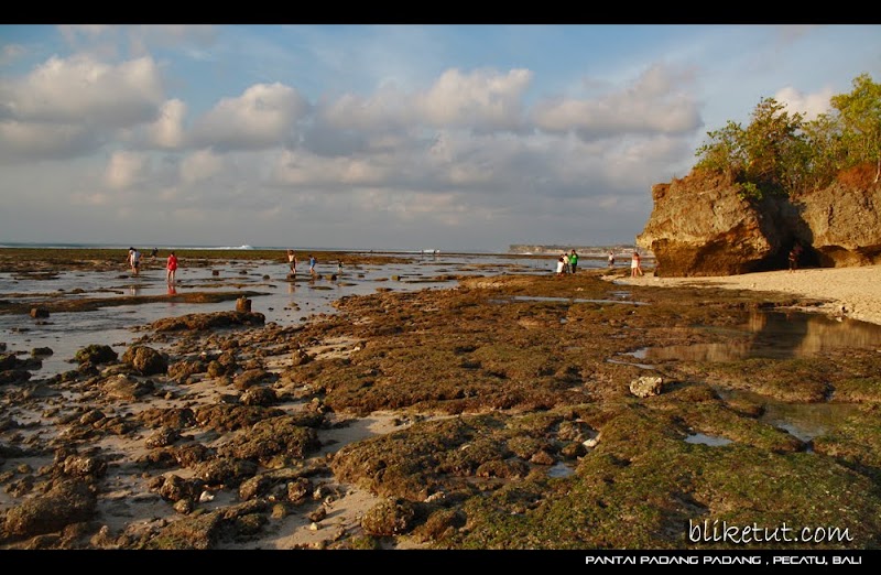 Ide Terkini 25+ Gambar Pantai Padang