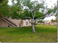 20140418_134422
