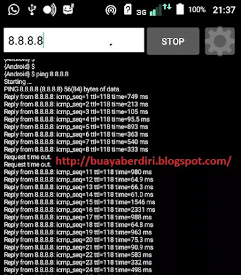 Cara ping ke alamat IP Address 8.8.8.8 menggunakan HP Android