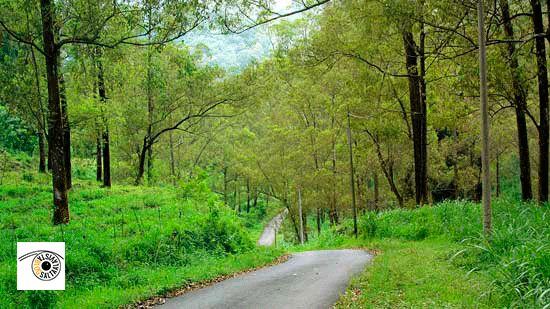 Tutorial Transformar Paisaje de Verano a Invierno con Photoshop GIF