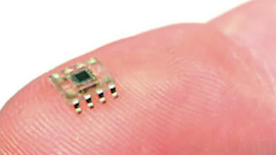 implante microchip del tamaño de un grano de arroz
